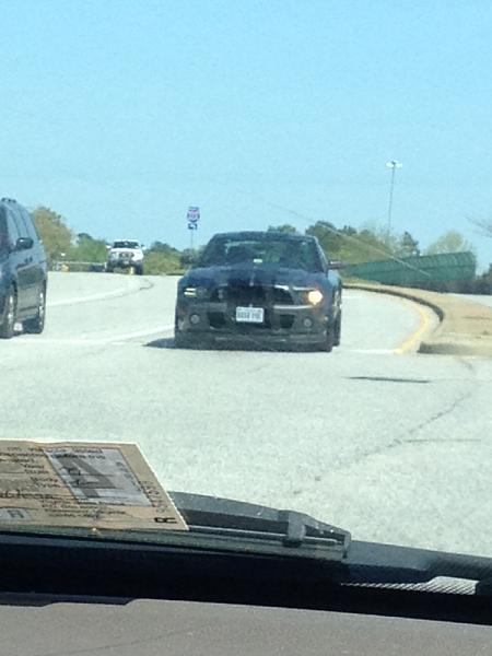 What did you do with your Mustang today?*-image-3927078935.jpg