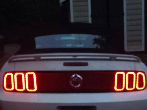 What did you do with your Mustang today?*-image.jpg