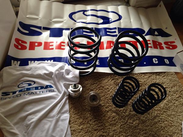 What did you do with your Mustang today?*-image-545952822.jpg