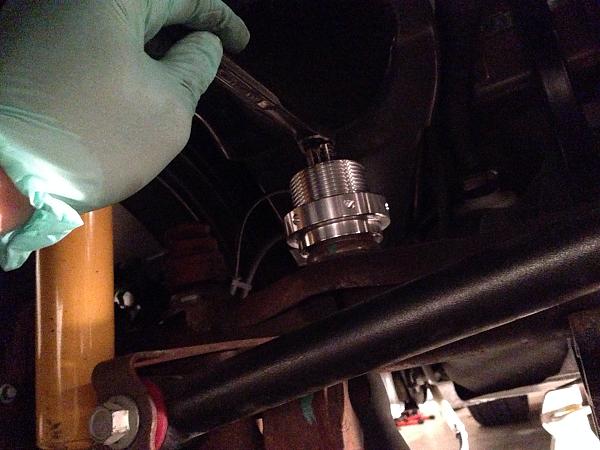 What did you do with your Mustang today?*-image-3951341449.jpg