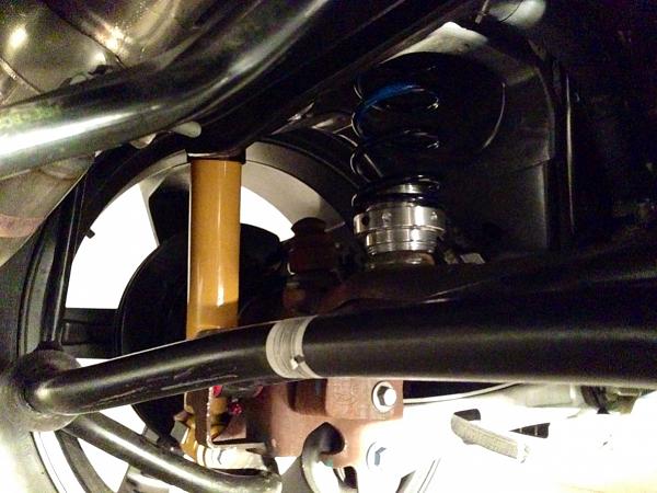 What did you do with your Mustang today?*-image-328728363.jpg