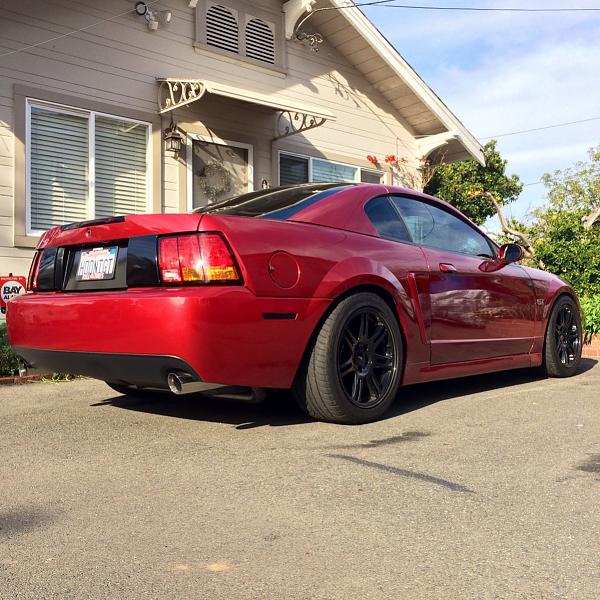 What did you do with your Mustang today?*-image-3824948842.jpg