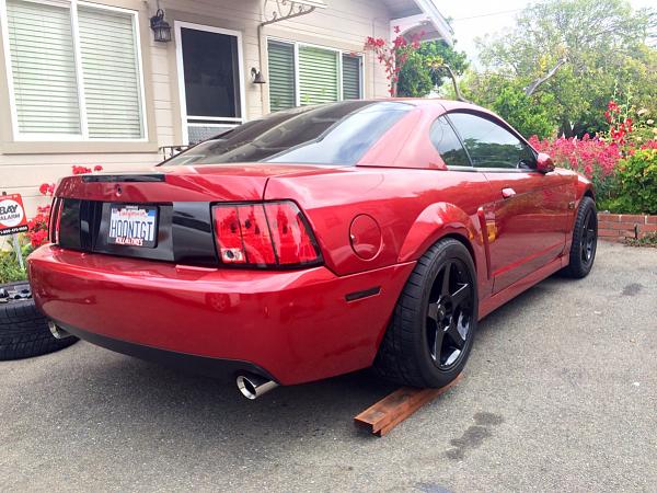 What did you do with your Mustang today?*-image-3961051658.jpg