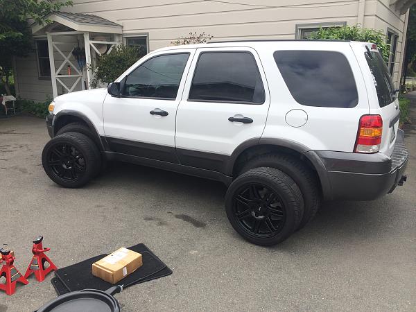 What did you do with your Mustang today?*-image-1046939810.jpg