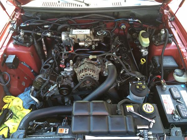 What did you do with your Mustang today?*-image-1515276843.jpg