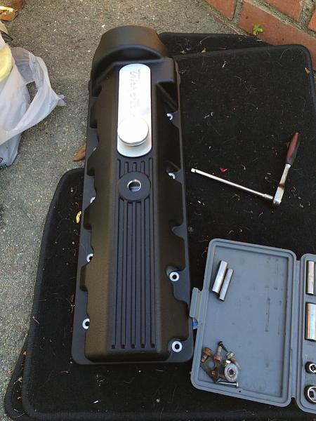 What did you do with your Mustang today?*-image-84054444.jpg