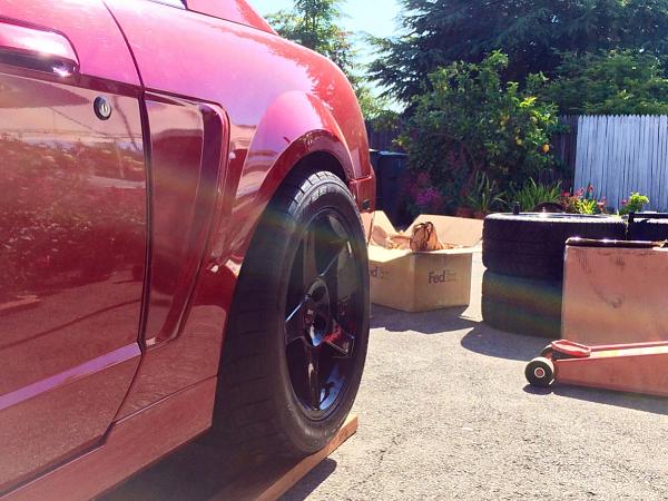 What did you do with your Mustang today?*-image-3899957560.jpg