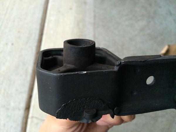 What did you do with your Mustang today?*-image-2313779824.jpg