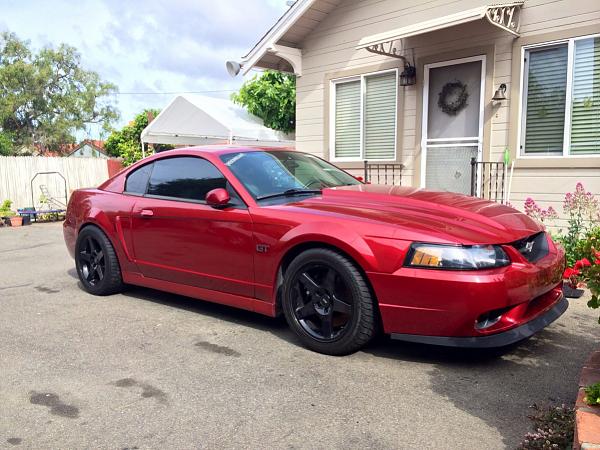 What did you do with your Mustang today?*-image-1289320102.jpg