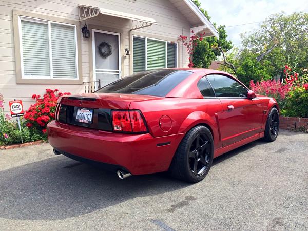 What did you do with your Mustang today?*-image-3427431089.jpg