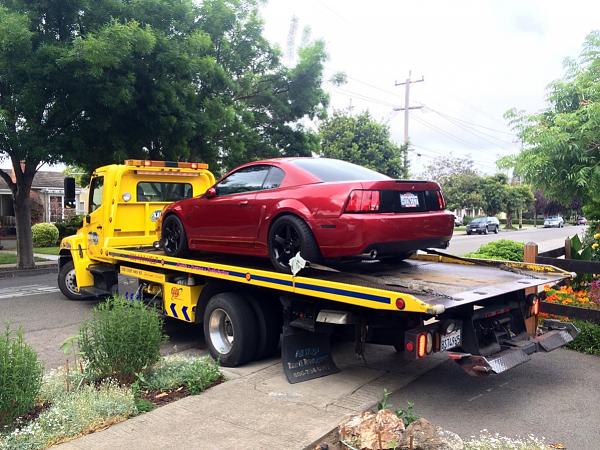 What did you do with your Mustang today?*-image-3448820141.jpg