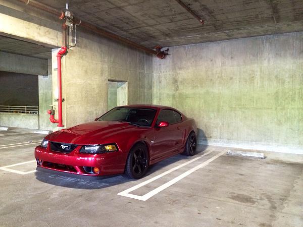 What did you do with your Mustang today?*-image-3730865305.jpg