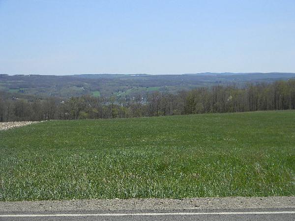 What did you do with your Mustang today?*-003.jpg