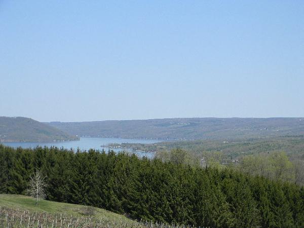 What did you do with your Mustang today?*-010.jpg