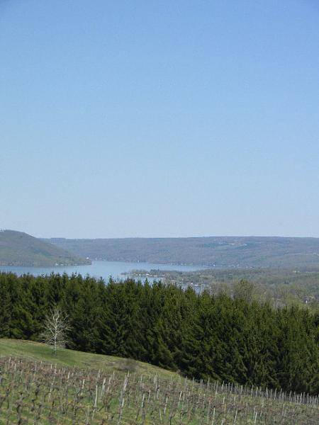 What did you do with your Mustang today?*-013.jpg