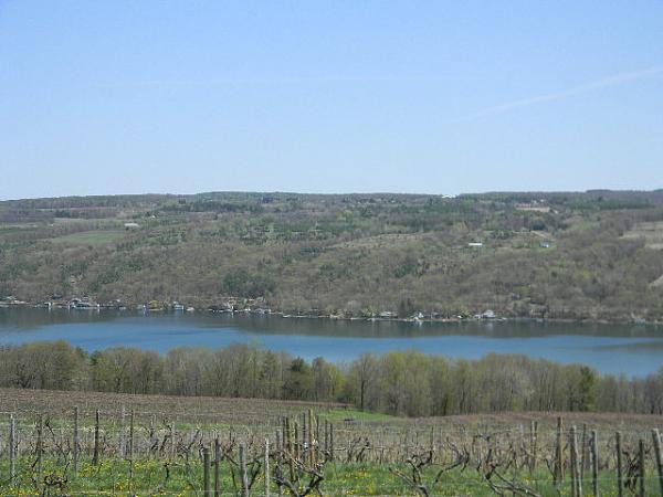 What did you do with your Mustang today?*-008.jpg