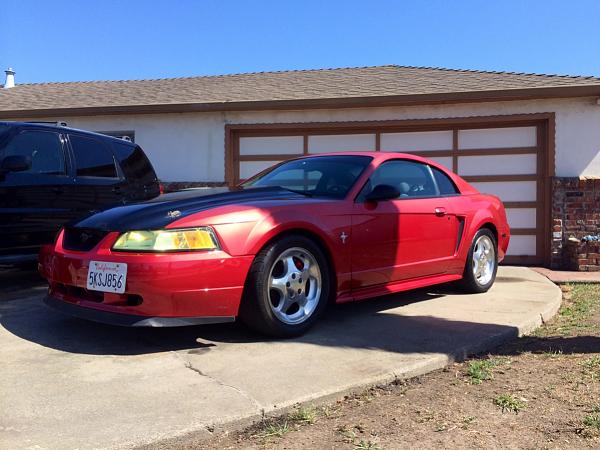 What did you do with your Mustang today?*-image-3862212065.jpg