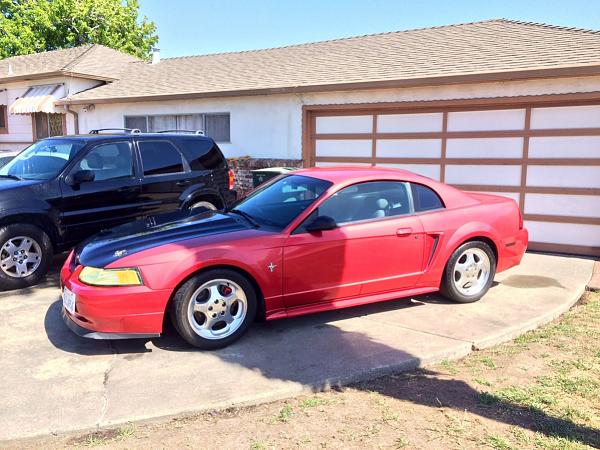 What did you do with your Mustang today?*-image-2743482319.jpg