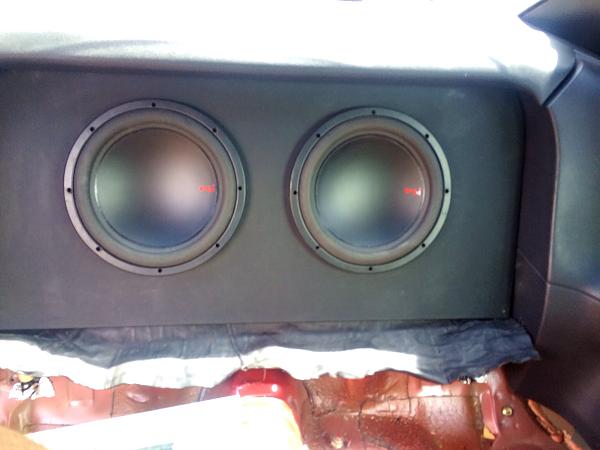 What did you do with your Mustang today?*-image-611707038.jpg