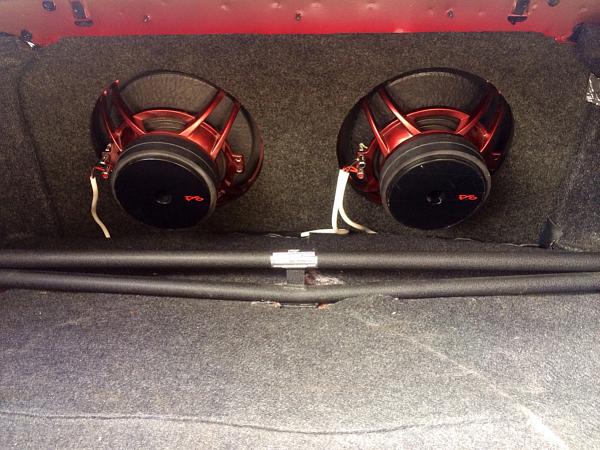 What did you do with your Mustang today?*-image-322110113.jpg