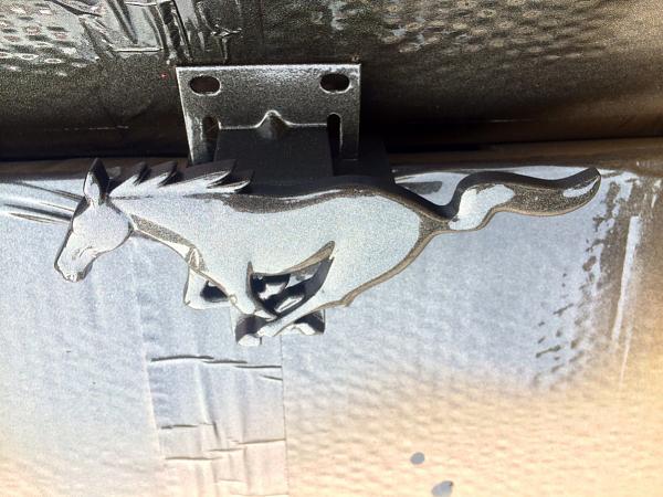 What did you do with your Mustang today?*-image-3530000304.jpg