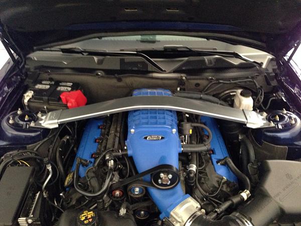 What did you do with your Mustang today?*-image-77019489.jpg