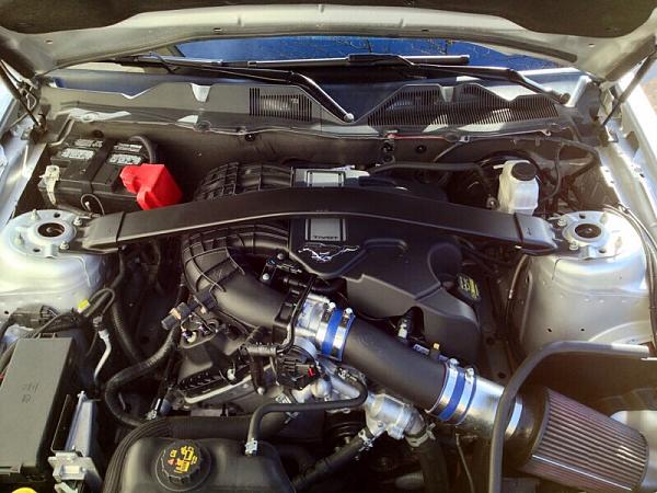 What did you do with your Mustang today?*-image-4191450422.jpg