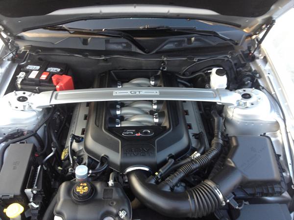 What did you do with your Mustang today?*-image-1399031643.jpg