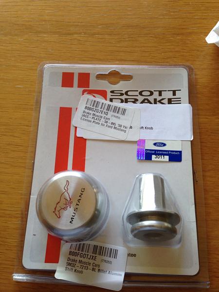 What did you do with your Mustang today?*-image-1744381938.jpg