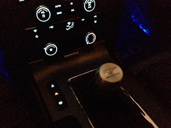 What did you do with your Mustang today?*-image-3178482438.jpg