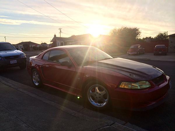 What did you do with your Mustang today?*-image-3537118673.jpg