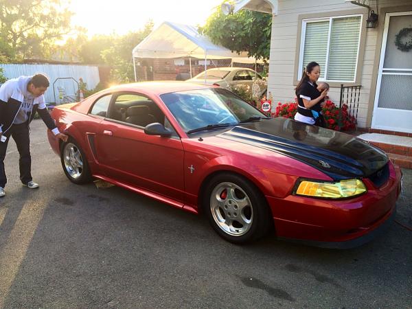 What did you do with your Mustang today?*-image-3817842802.jpg