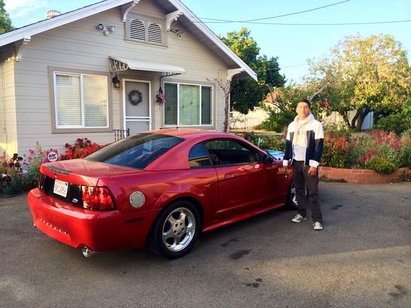 What did you do with your Mustang today?*-image-1856184136.jpg