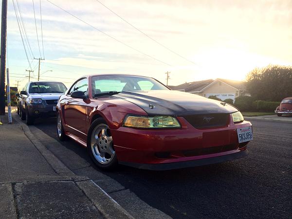 What did you do with your Mustang today?*-image-2382551913.jpg