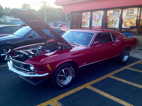 What did you do with your Mustang today?*-image-2944438886.jpg