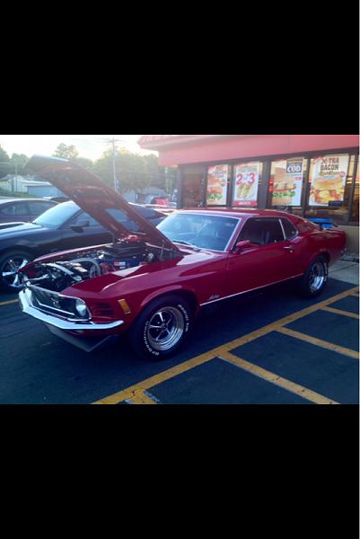 What did you do with your Mustang today?*-image-1612986433.jpg