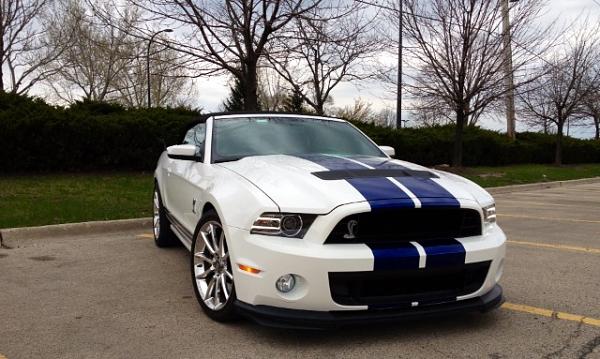 What did you do with your Mustang today?*-image-3832902106.jpg