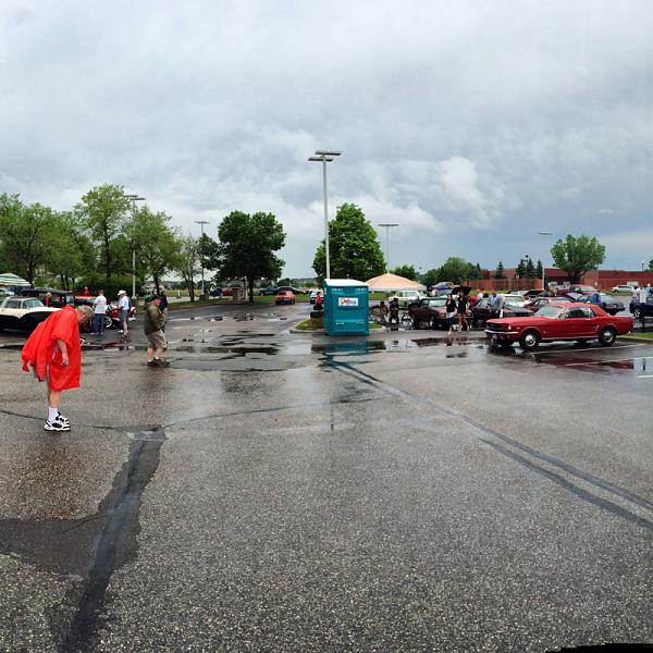 What did you do with your Mustang today?*-image-248423843.jpg