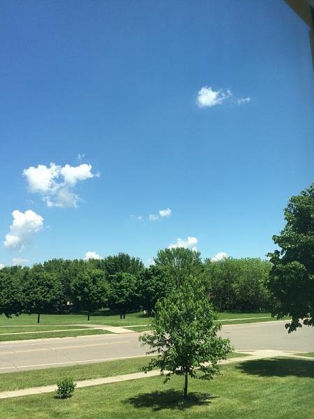 What did you do with your Mustang today?*-image-3943725451.jpg