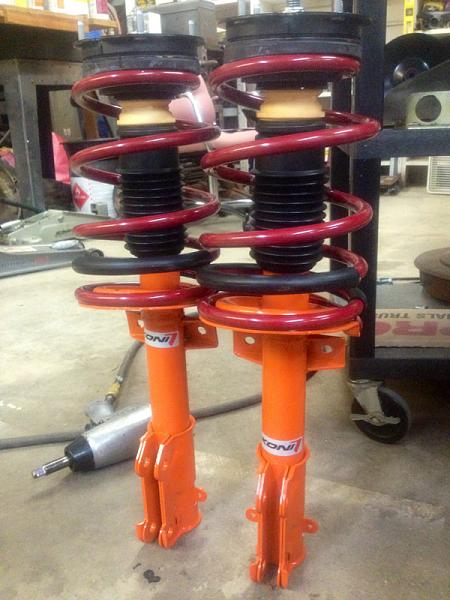 What did you do with your Mustang today?*-image-1717472539.jpg