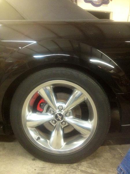 What did you do with your Mustang today?*-image-759768070.jpg