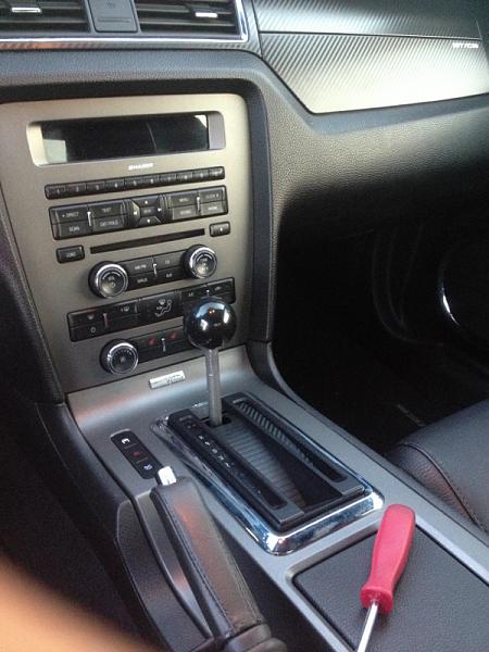 What did you do with your Mustang today?*-image-445647836.jpg