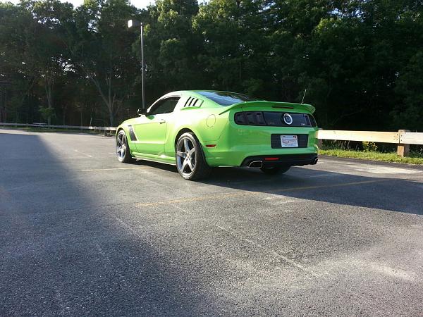 What did you do with your Mustang today?*-183657.jpg