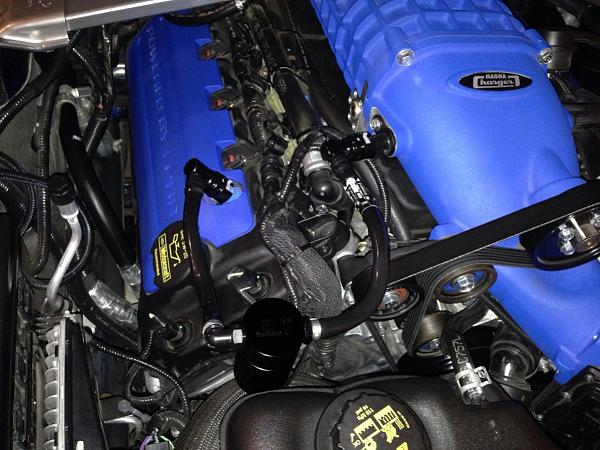 What did you do with your Mustang today?*-image-3218743154.jpg