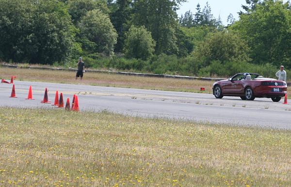 What did you do with your Mustang today?*-009.jpg