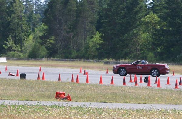 What did you do with your Mustang today?*-016.jpg