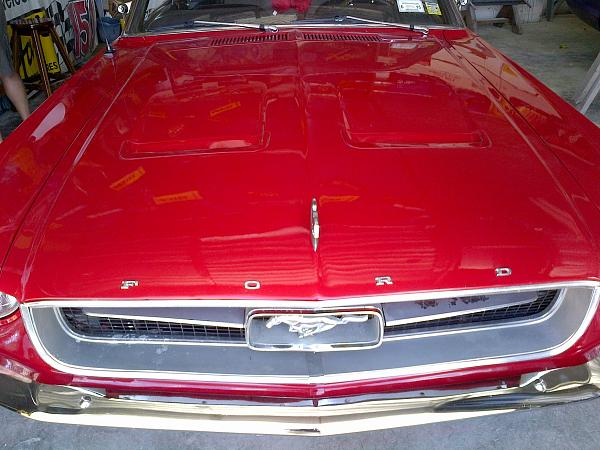 What did you do with your Mustang today?*-img-20140622-00015.jpg
