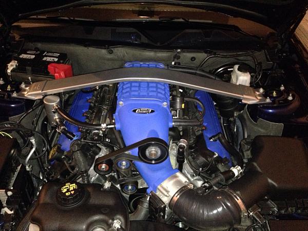 What did you do with your Mustang today?*-image-2731149837.jpg