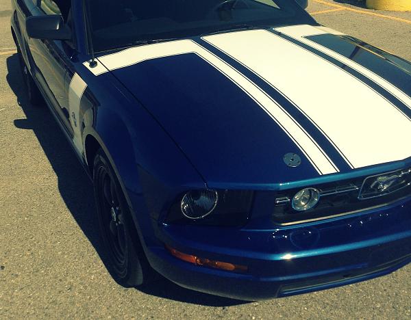 What did you do with your Mustang today?*-img_3793.jpg