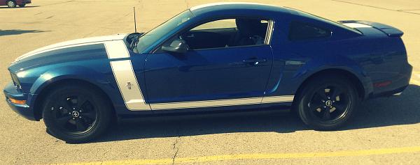 What did you do with your Mustang today?*-img_3795.jpg